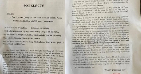 Hải phòng: Nhận Quyết định cưỡng chế, chủ doanh nghiệp kêu cứu Bí thư Thành ủy