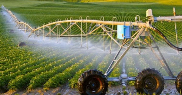 Sản xuất nông nghiệp công nghệ cao của Lâm Đồng đạt giá trị cao nhất nước