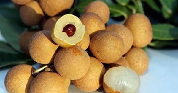 Cách phân biệt nhãn Trung Quốc và nhãn lồng Hưng Yên đơn giản nhất