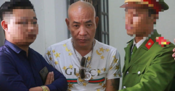 Cỏ dại “giang hồ mạng”