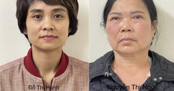 Khởi tố 4 bị can liên quan vụ án tại Công ty Công viên Cây xanh Hà Nội
