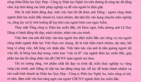 Nghệ An: Công nhân điện lực nhanh trí cứu người bị điện giật