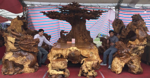 Bàn ghế nu 3 tỷ, sâm Ngọc Linh 1 tỷ: Mua ngay, không màng đắt rẻ