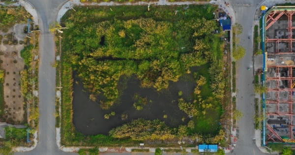 Cò đất, doanh nghiệp bất lương đẩy sốt ảo liên tục: Thuốc gì đặc trị? Cò đất, doanh nghiệp bất lương đẩy sốt ảo liên tục: Thuốc gì đặc trị?