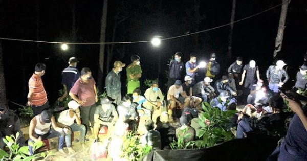 Quảng Nam: 41 đối tượng rủ nhau vào rừng thông đánh bạc trong cao điểm dịch Covid-19