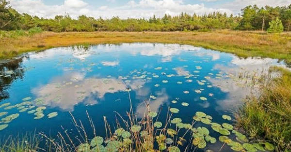 Bí ẩn những “xác ướp đầm lầy” 2.000 năm tuổi ở khắp Bắc Âu Bí ẩn những “xác ướp đầm lầy” 2.000 năm tuổi ở khắp Bắc Âu