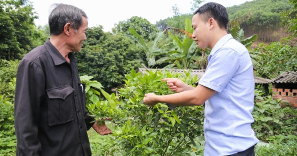 Tinh gọn tổ chức bộ máy hiệu lực, hiệu quả - Điểm sáng của Quảng Ninh