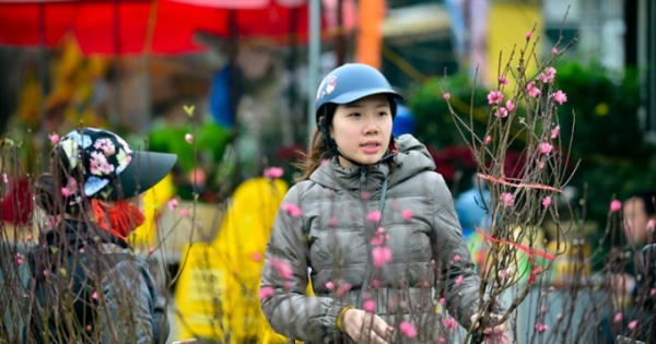 Đào Nhật Tân khoe sắc xuống phố đón Tết sớm