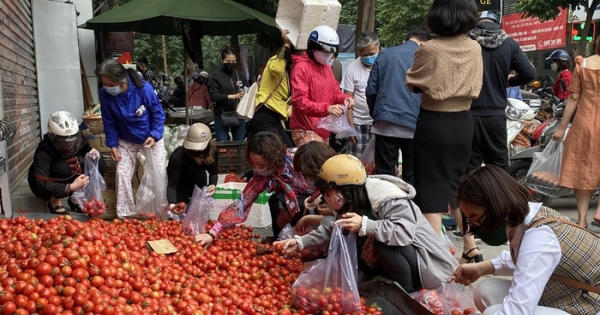 Giải cứu nông sản Hải Dương: Cần những kịch bản ứng phó mới