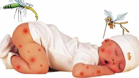 Sốt xuất huyết ngày càng phức tạp, Bộ Y tế ra công điện khẩn