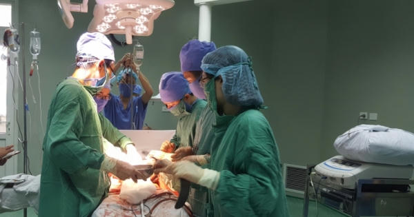 Một người tử vong vì bị trâu húc thủng bụng, gãy xương sườn