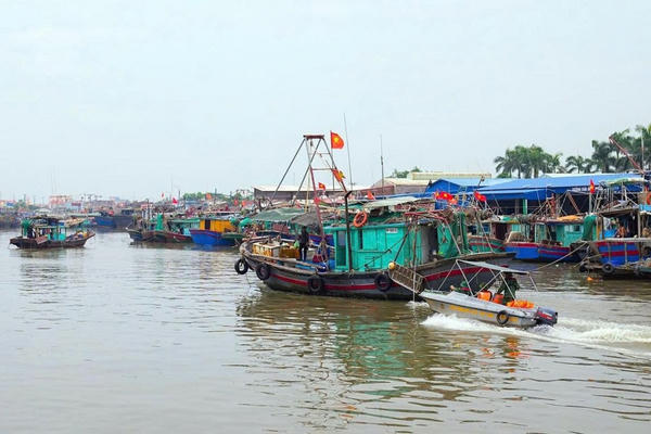 Hải Phòng dừng nhiều hoạt động trên biển để ứng phó bão số 5