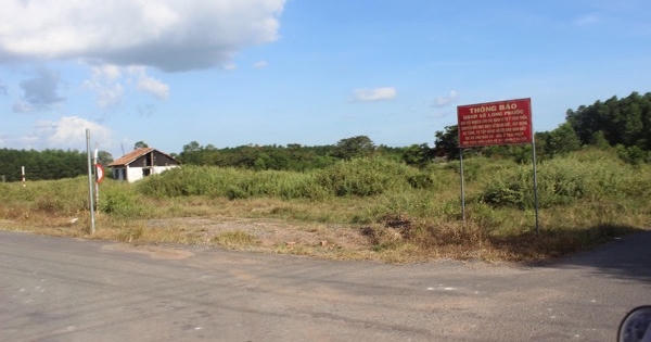 TP HCM: Điều tra 3 dự án có dấu hiệu lừa đảo