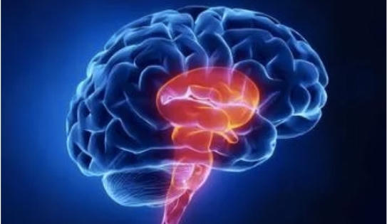 Thói quen trong quan hệ tình dục khiến cô gái 24 tuổi bị nhồi máu não