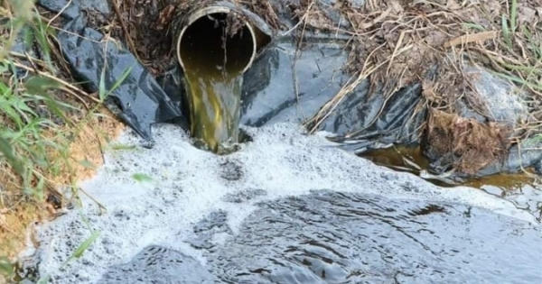 Trại lợn ngàn con “bức tử” môi trường bị xử phạt 320 triệu đồng Trại lợn ngàn con “bức tử” môi trường bị xử phạt 320 triệu đồng