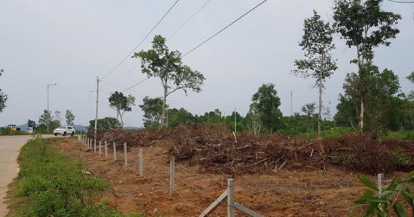 Loạn đất trên đảo Phú Quốc: 'Xã hội đen' lộng hành?