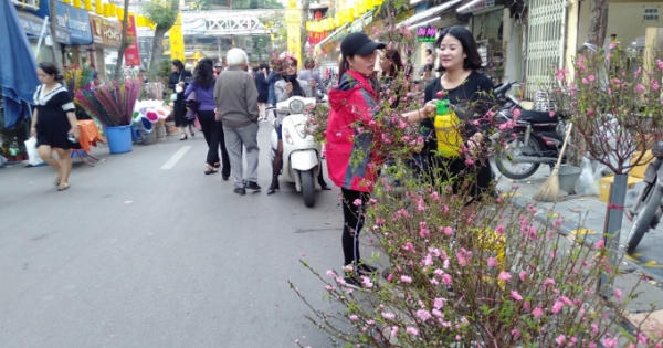 Nhộn nhịp chợ hoa Tết truyền thống phố cổ Hà Nội