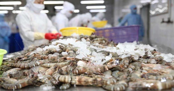 Năm 2022, xuất khẩu tôm sang Mỹ và EU dự kiến tiếp tục tăng trưởng 2 con số