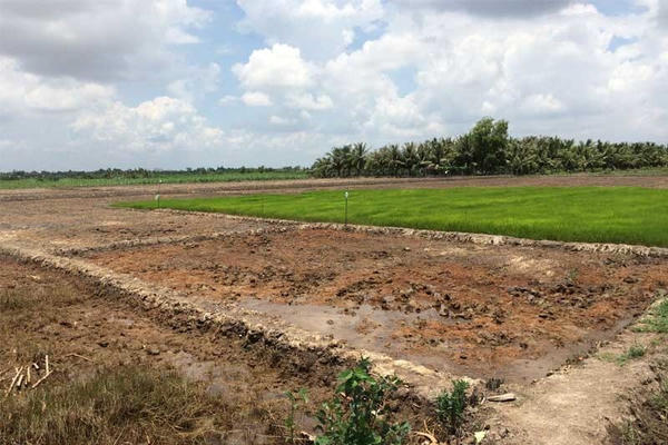 Cần chấn chỉnh tình trạng lợi dụng khiếu kiện trong hoạt động lựa chọn tổ chức đấu giá đất đai