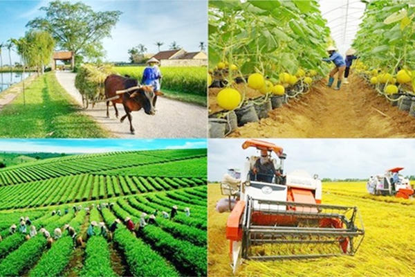 Tháo gỡ khó khăn các chương trình mục tiêu quốc gia