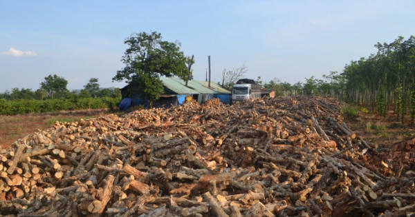 Gia Lai: Kiểm tra các lò đốt than gây ô nhiễm môi trường