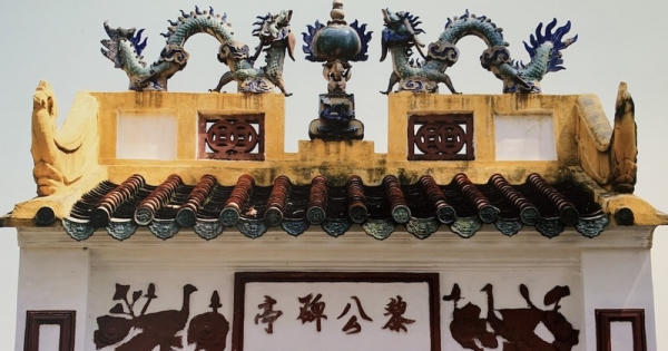 Khởi tố bị can, bắt tạm giam nghi can trộm trái châu gần 100 tuổi tại Lăng Ông - Bà Chiểu