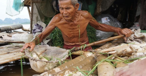 Thanh Hóa: Cá lồng lại chết bất thường trên sông Mã