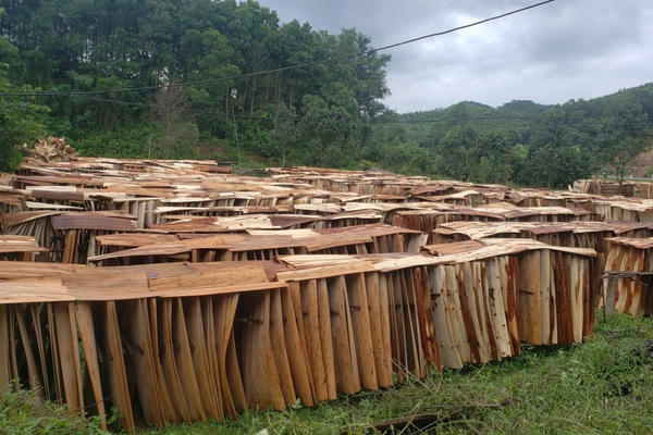 Bắc Giang: Cần cơ chế “đặc thù” tháo gỡ khó khăn cho các doanh nghiệp chế biến và sản xuất gỗ