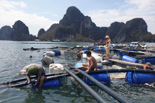 Quảng Ninh: Một số ngân hàng triển khai hỗ trợ người dân, doanh nghiệp chịu ảnh hưởng do bão số 3