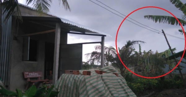 Bạc Liêu: Mòn mỏi chờ điện lưới quốc gia Bạc Liêu: Mòn mỏi chờ điện lưới quốc gia