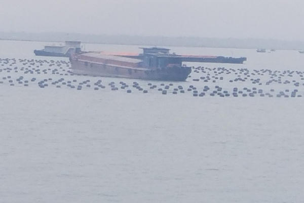 Quảng Ninh: Tàu thuyền khốn khổ vì luồng quốc gia bị bè hàu chắn lối Quảng Ninh: Tàu thuyền khốn khổ vì luồng quốc gia bị bè hàu chắn lối