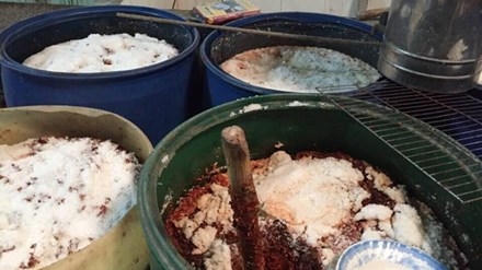 Rùng mình giòi bò lúc nhúc trong 7 tấn tương ớt Rùng mình giòi bò lúc nhúc trong 7 tấn tương ớt