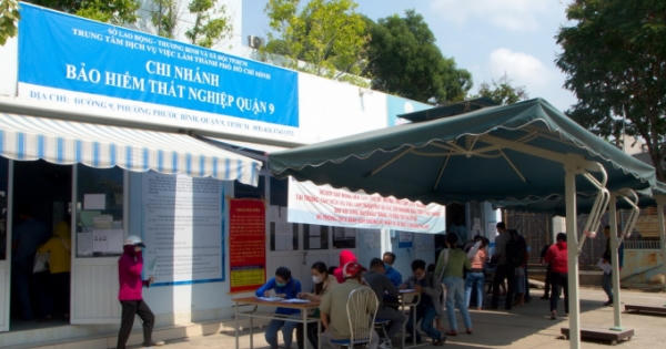 Trung tâm Dịch vụ việc làm TP HCM: Lập hồ sơ “khống”...“rút ruột” ngân sách hàng trăm triệu đồng!