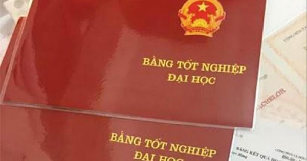 Gia Lai: 9 cán bộ bị cách hết chức vụ trong Đảng vì dùng bằng giả