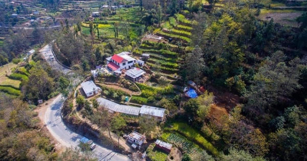 Mê mẩn trang trại bậc thang không hóa chất trên núi cao 1.500m