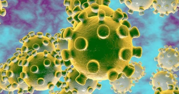 Việt Nam đã có “mồi thử” xét nghiệm nhanh nCoV Việt Nam đã có “mồi thử” xét nghiệm nhanh nCoV