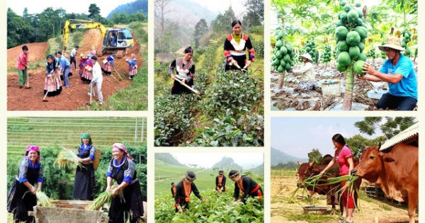 Thủ tướng Chính phủ đôn đốc triển khai quyết liệt các chương trình mục tiêu quốc gia
