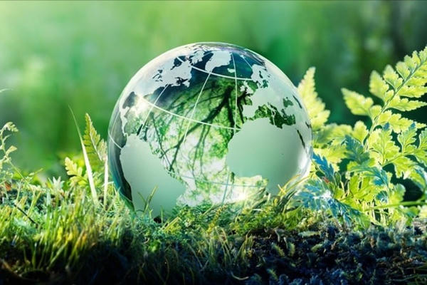 Chiêu trò "tẩy xanh": Thách thức trong cuộc chiến pháp lý bảo vệ môi trường