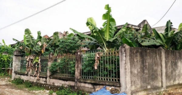 Ninh Bình:  Công trình nước sạch vài tỷ biến thành nơi trồng chuối
