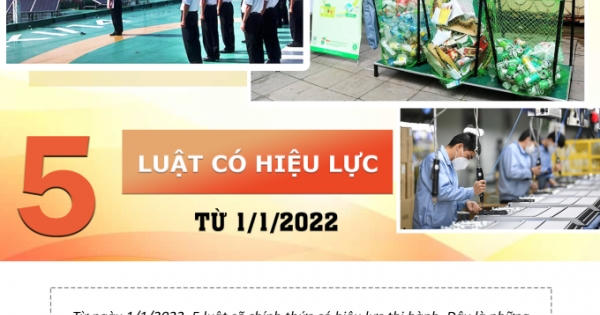 INFOGRAPHICS - 5 Luật có hiệu lực từ 1/1/2022