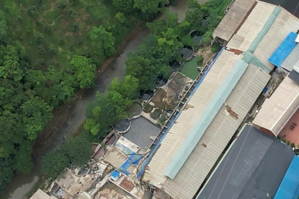 Lạng Sơn: Chính quyền “thờ ơ”, người dân hàng chục năm sống trong ô nhiễm do Công ty thuộc da xả thải ra môi trường