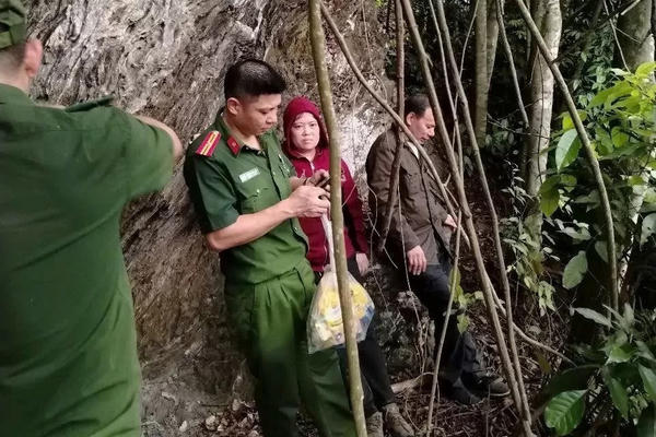 Giải cứu cặp vợ chồng mắc kẹt trong rừng núi hiểm trở