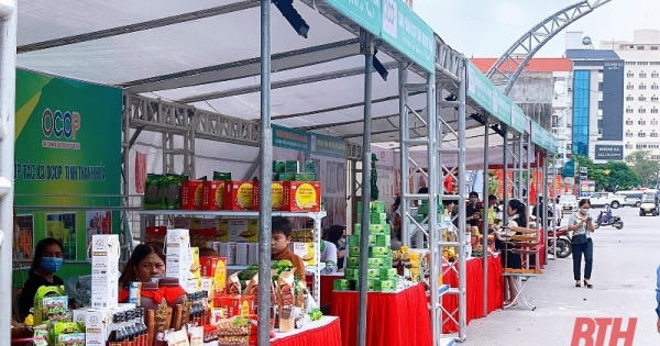 Thanh Hóa: Xây dựng kế hoạch Trưng bày, giới thiệu sản phẩm OCOP và các sản phẩm tiềm năng