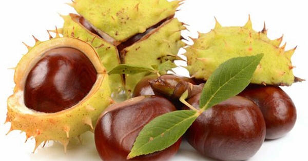 Phòng và chữa bệnh trĩ bằng thảo dược an toàn