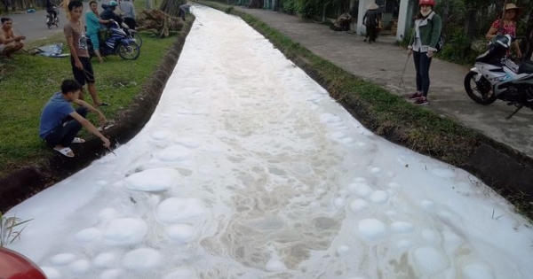 Quảng Nam: Bọt “lạ” nổi dày đặc như bông, trôi đến đâu cá chết đến đó Quảng Nam: Bọt “lạ” nổi dày đặc như bông, trôi đến đâu cá chết đến đó
