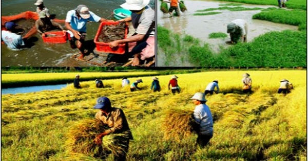 Nông nghiệp, nông thôn, nông dân đều chuyển mình mạnh mẽ sau 10 năm