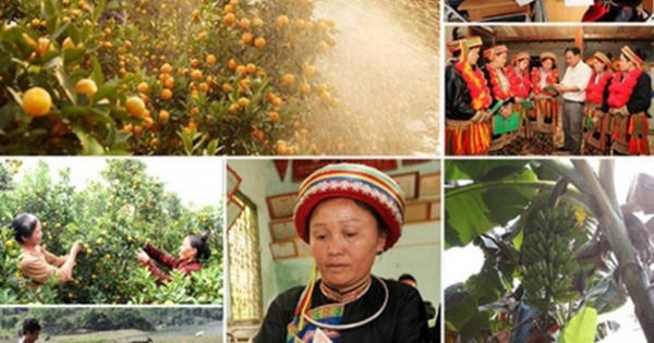 Quy trình giám sát Chương trình mục tiêu phát triển KT-XH vùng dân tộc thiểu số Quy trình giám sát Chương trình mục tiêu phát triển KT-XH vùng dân tộc thiểu số