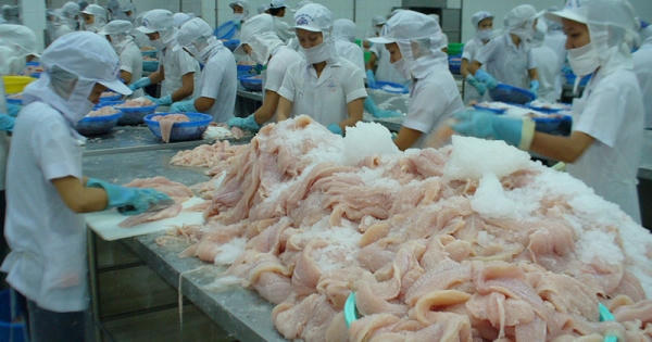 Bảo đảm chuỗi nguyên liệu thủy sản