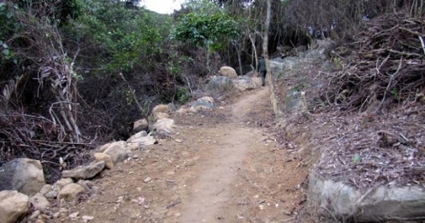 Đà Nẵng: Cách chức 2 lãnh đạo Hạt kiểm lâm vì để phá rừng Đà Nẵng: Cách chức 2 lãnh đạo Hạt kiểm lâm vì để phá rừng
