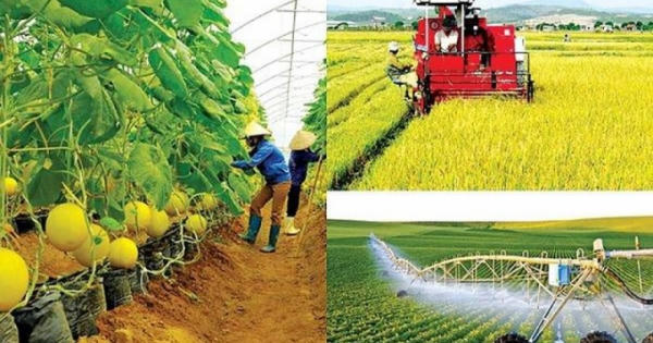 Cơ cấu lại ngành nông nghiệp giai đoạn 2021 - 2025